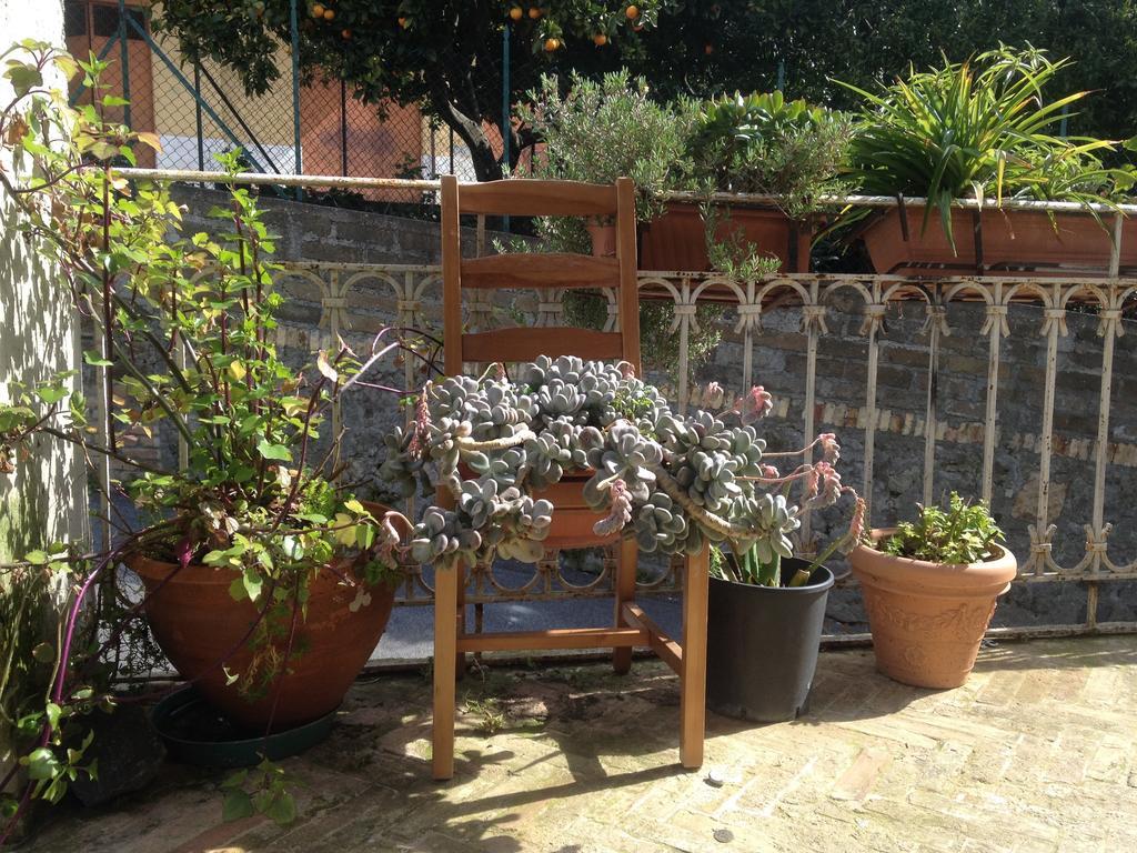 Guest House Trevignano Romano Exterior photo